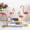 African Flamingo