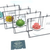CALENDAR PLANT