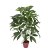 FAUX TREE PLANT - FORTUNE TREE