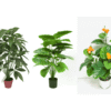 FAUX TREE PLANT