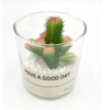 Wang Special Faux Plant - A
