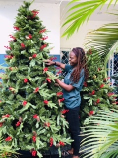LEMON GREEN TREE WITH RED BERRIES